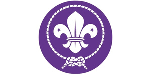 ecusson scout et guide de france-ecusson chemise scout-Brodart-lys OMMS