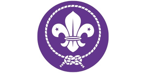 ecusson scout et guide de france-ecusson chemise scout-Brodart-lys OMMS